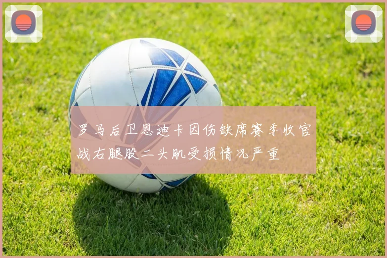 罗马后卫恩迪卡因伤缺席赛季收官战右腿股二头肌受损情况严重