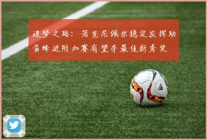追梦之路：若克尼佩尔稳定发挥助黄蜂进附加赛有望夺最佳新秀奖